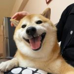 Khi trời mưa phải đi làm